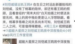 卓伟最新爆料预告杨幂,卓伟最新爆料揭秘神秘男友身份